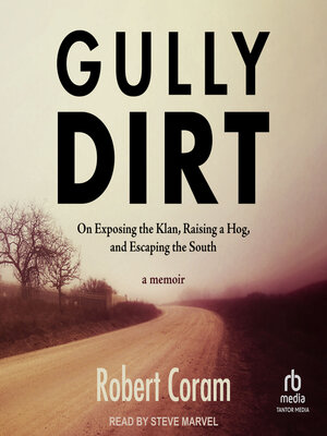cover image of Gully Dirt